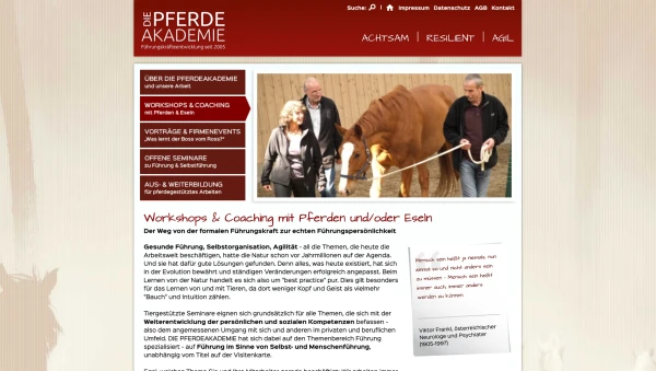 Die-Pferdeakademie-2-Grafiker-Hamburg-Webseite