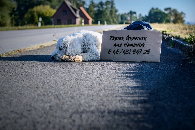 Freier Grafiker aus Hamburg
