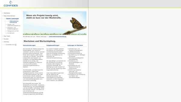 CONFIDES-Consulting-2-Grafiker-Hamburg-Webseite
