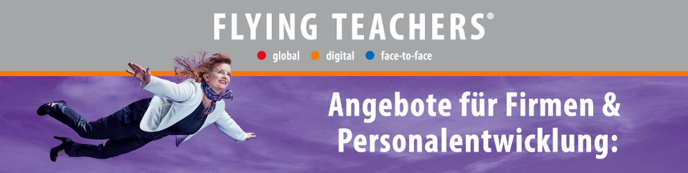 Flying-Teachers-4-Grafiker-Hamburg-Onlinebanner