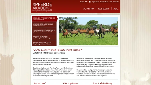 Die-Pferdeakademie-1-Grafiker-Hamburg-Webseite