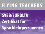 Flying-Teachers-2-Grafiker-Hamburg-Onlinebanner