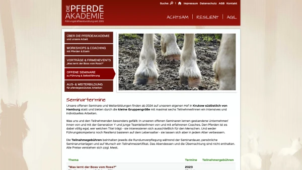 Die-Pferdeakademie-3-Grafiker-Hamburg-Webseite