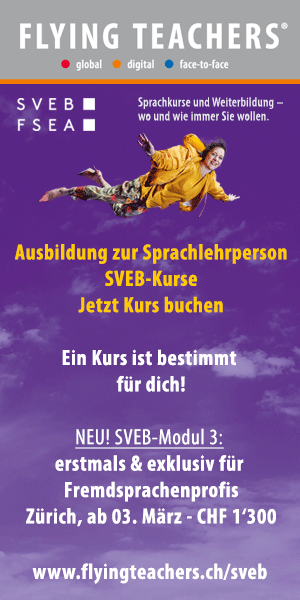 Flying-Teachers-5-Grafiker-Hamburg-Onlinebanner