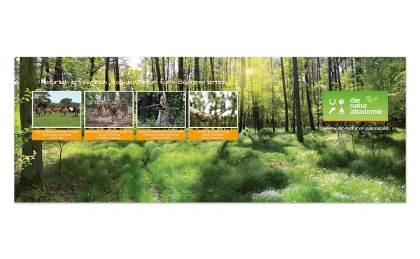 DIE NATURAKADEMIE-Grafiker Hamburg-Messezubehör-Werbematerial