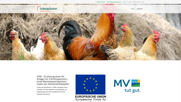Ludwigsluster-Agrarshop-1_Grafiker-Hamburg-Webseite