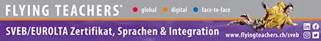 Flying-Teachers-3-Grafiker-Hamburg-Onlinebanner